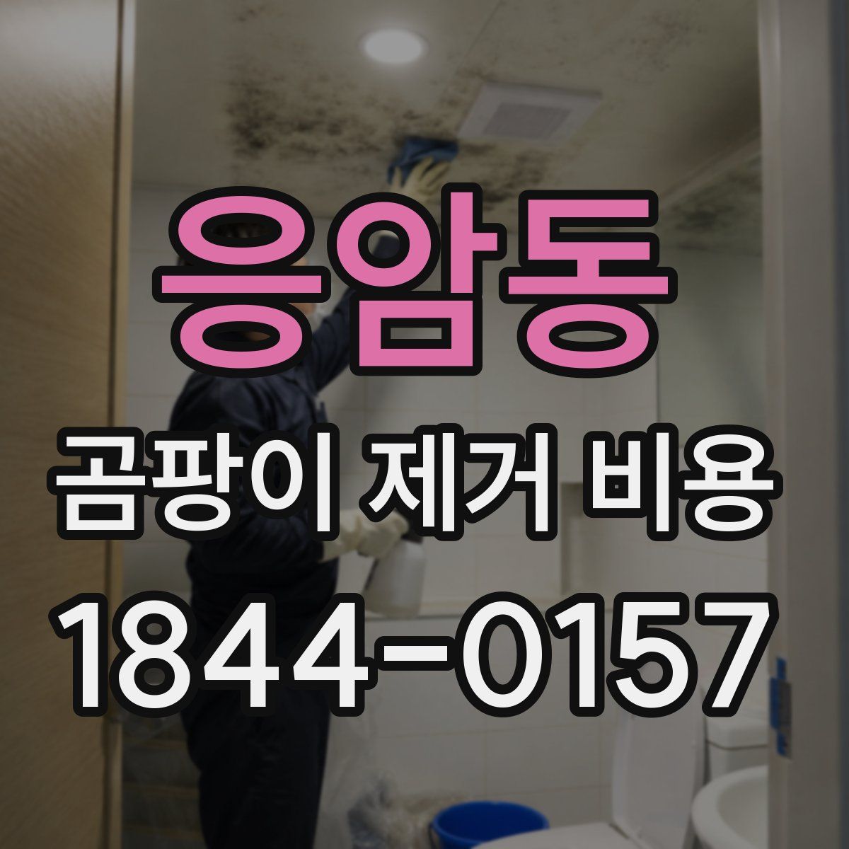 응암동 곰팡이 제거 비용