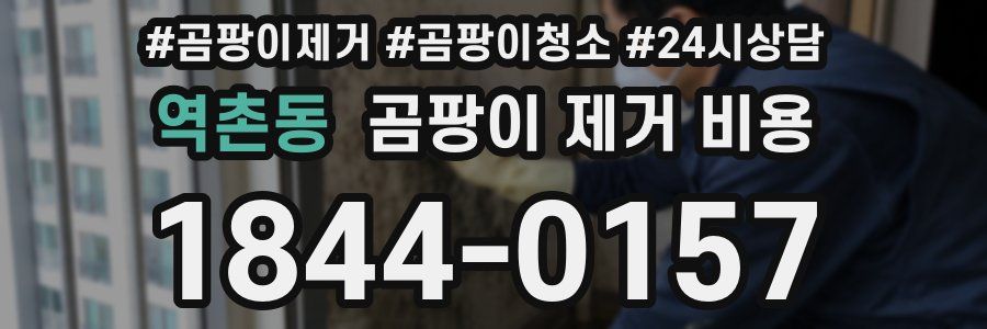 역촌동 곰팡이 제거 비용