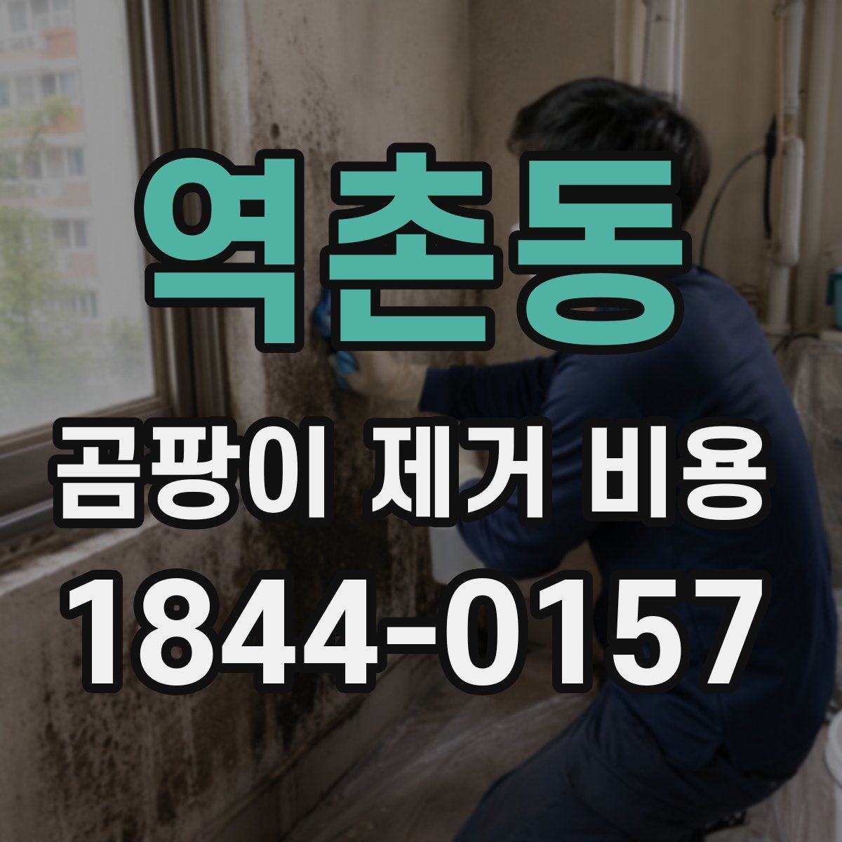 역촌동 곰팡이 제거 비용