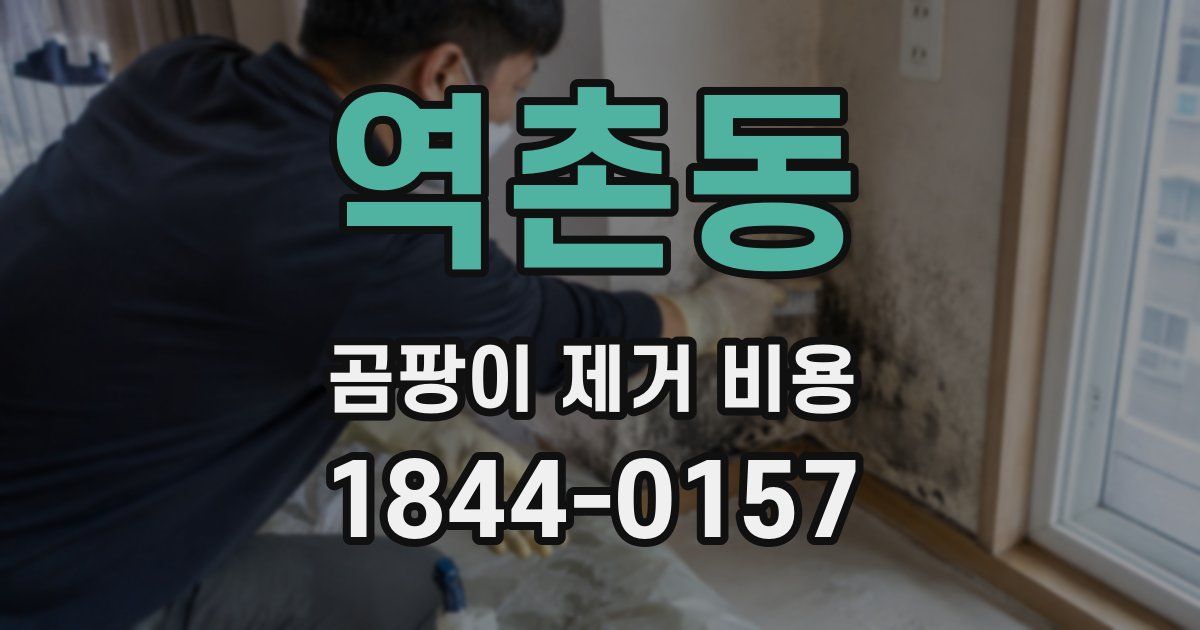 역촌동 곰팡이 제거 비용
