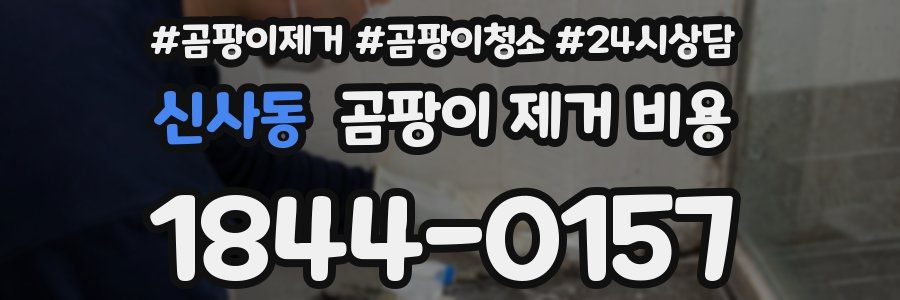 신사동 곰팡이 제거 비용
