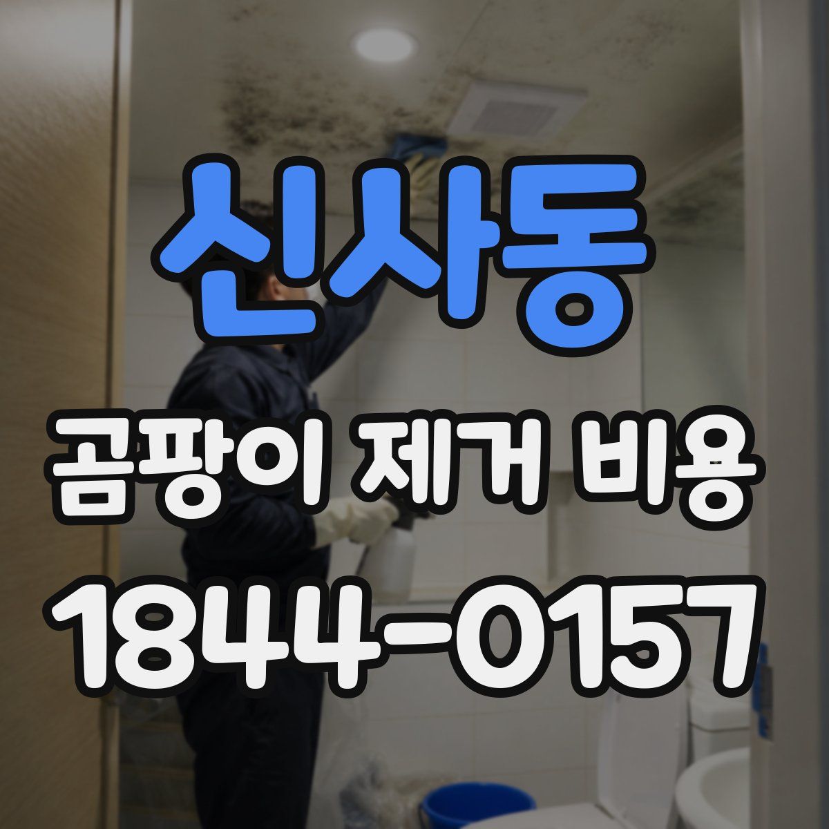신사동 곰팡이 제거 비용
