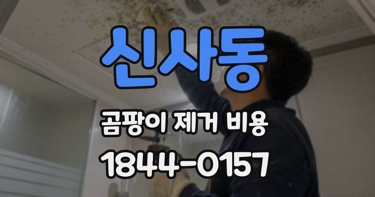 신사동 곰팡이 제거 비용