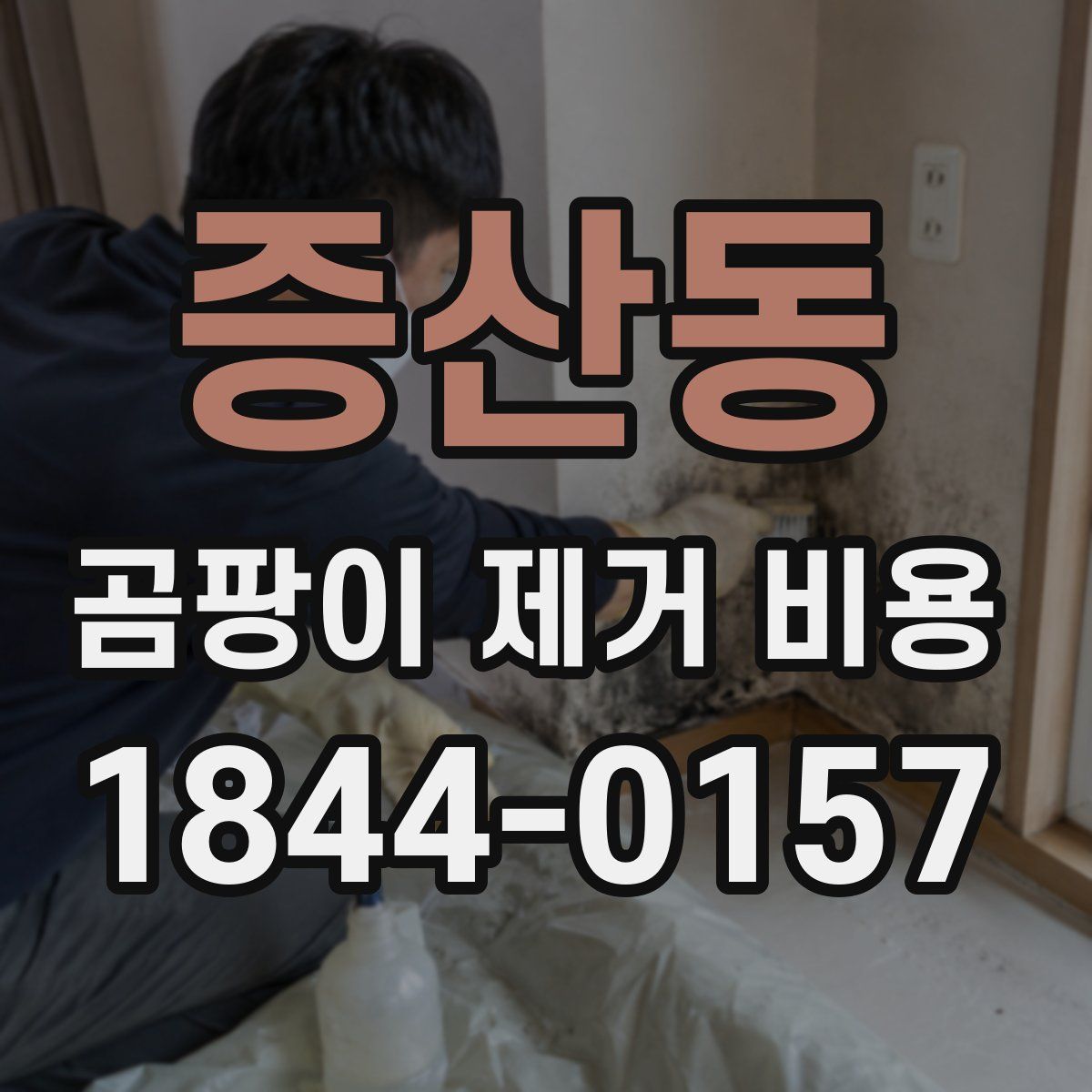 증산동 곰팡이 제거 비용