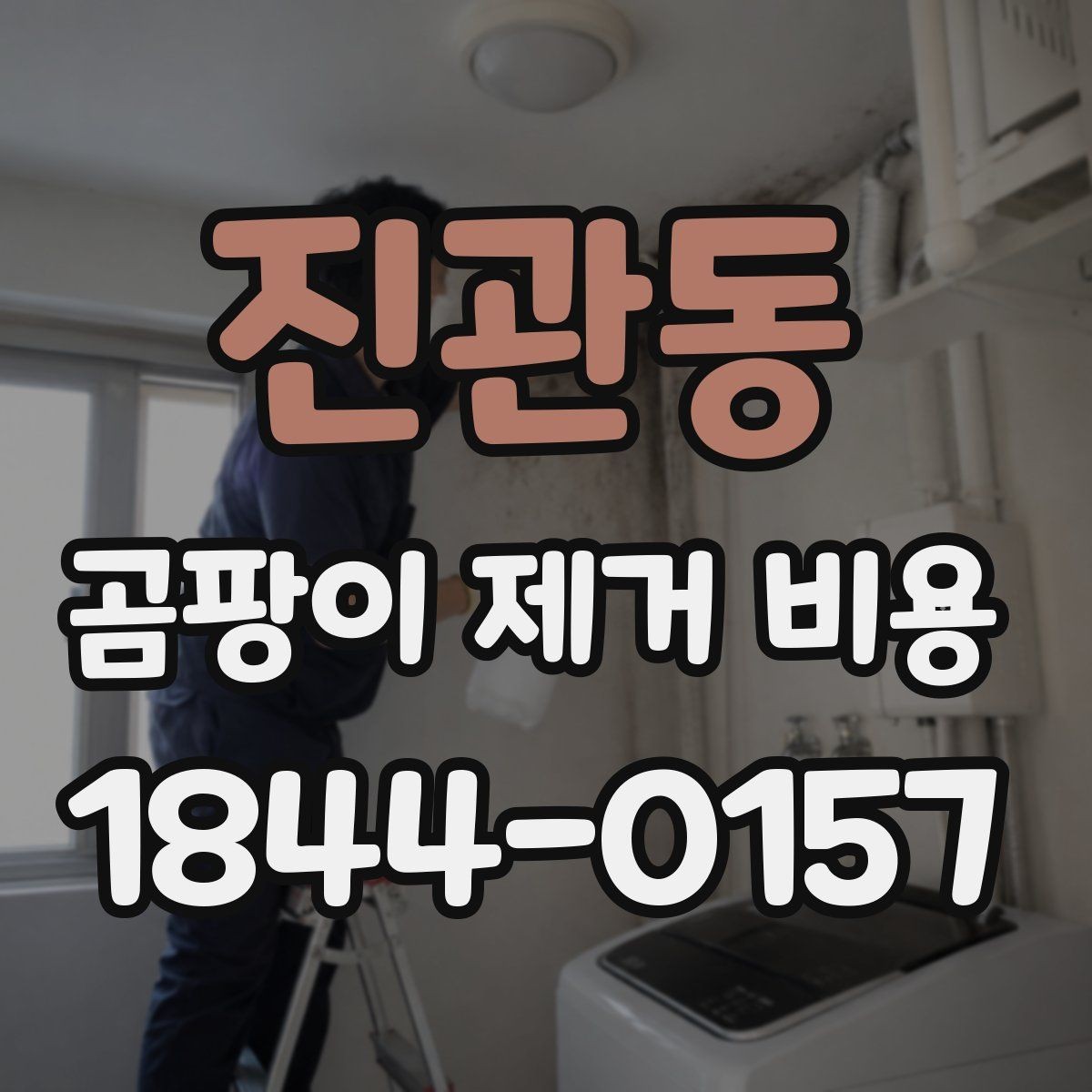 진관동 곰팡이 제거 비용 실내 마감재 상태에 따라 바뀌는 공정