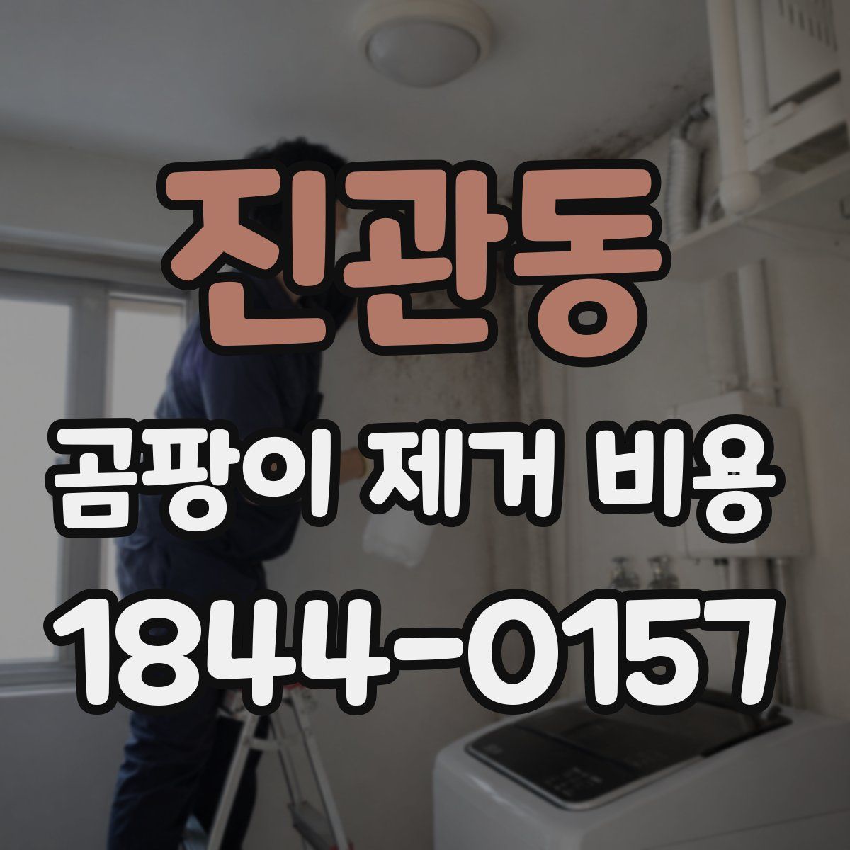 진관동 곰팡이 제거 비용
