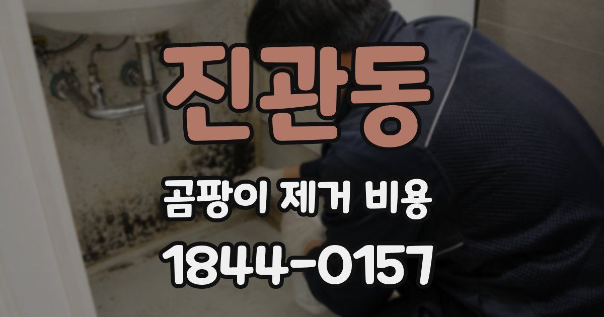 진관동 곰팡이 제거 비용