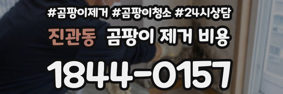 진관동 곰팡이 제거 비용