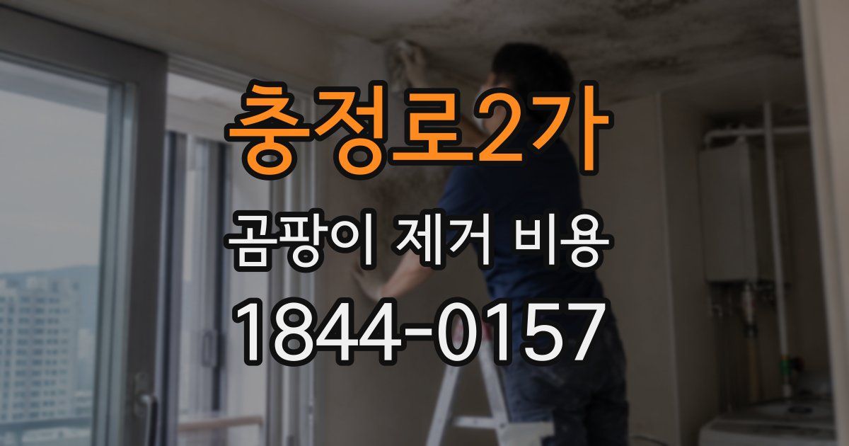 충정로2가 곰팡이 제거 비용