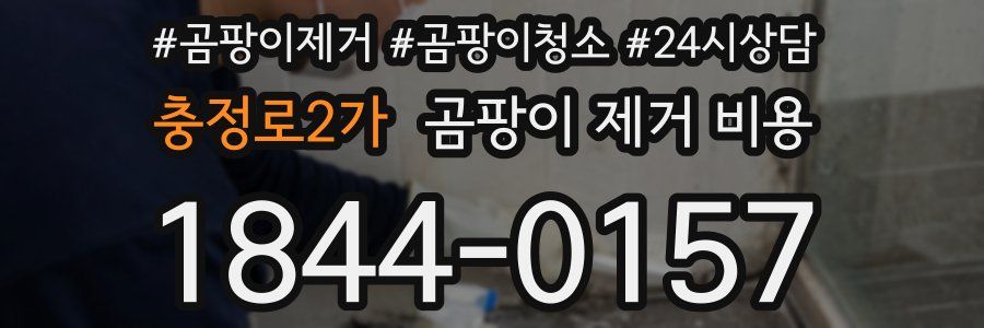 충정로2가 곰팡이 제거 비용