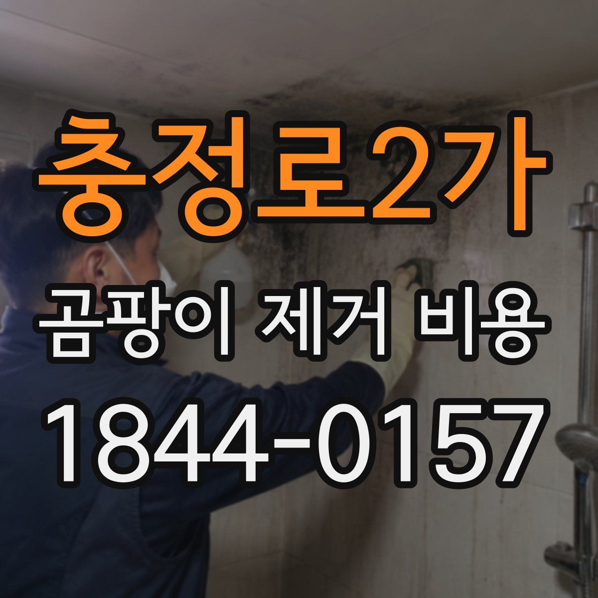 충정로2가 곰팡이 제거 비용