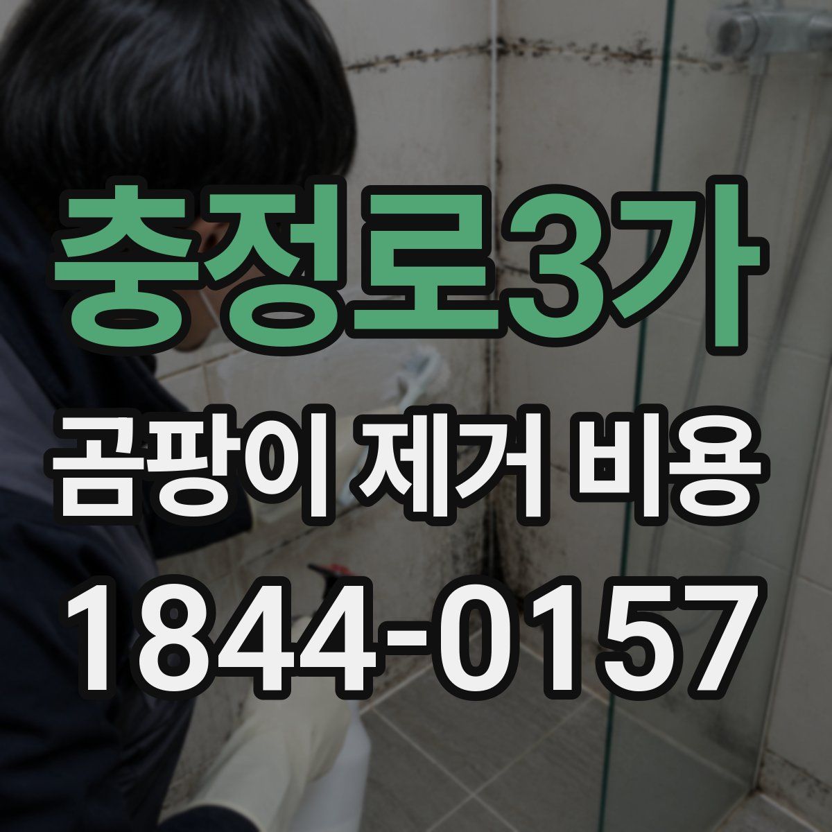충정로3가 곰팡이 제거 비용