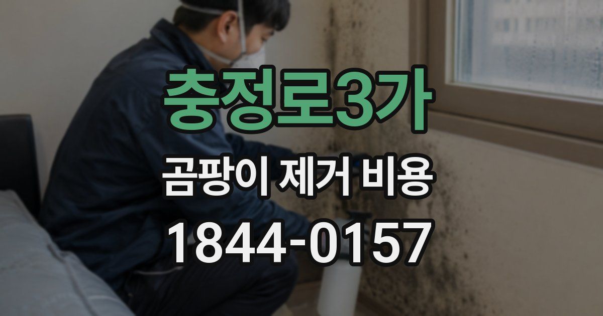 충정로3가 곰팡이 제거 비용