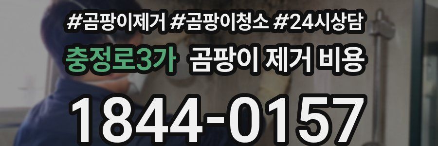 충정로3가 곰팡이 제거 비용