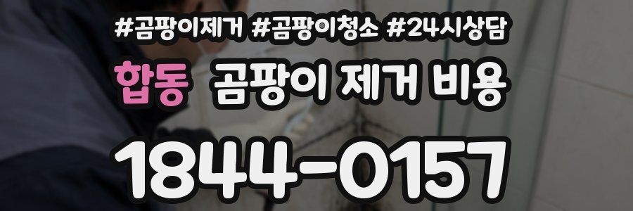 합동 곰팡이 제거 비용