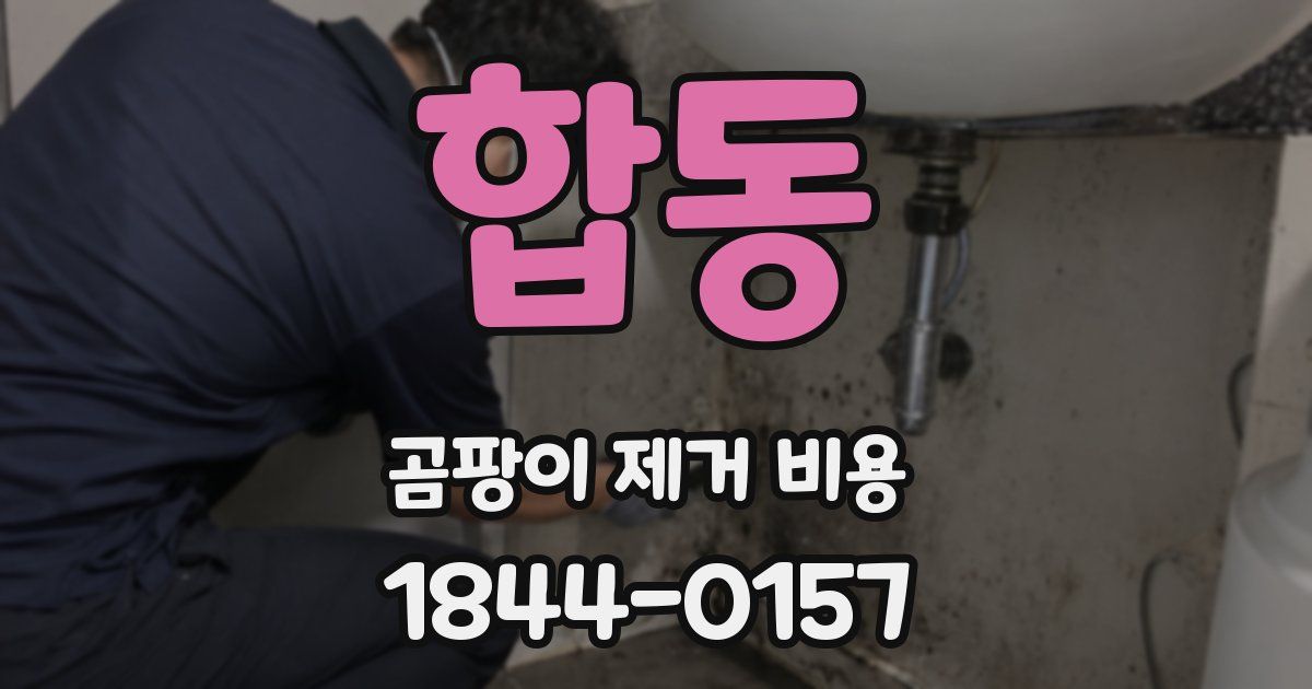 합동 곰팡이 제거 비용
