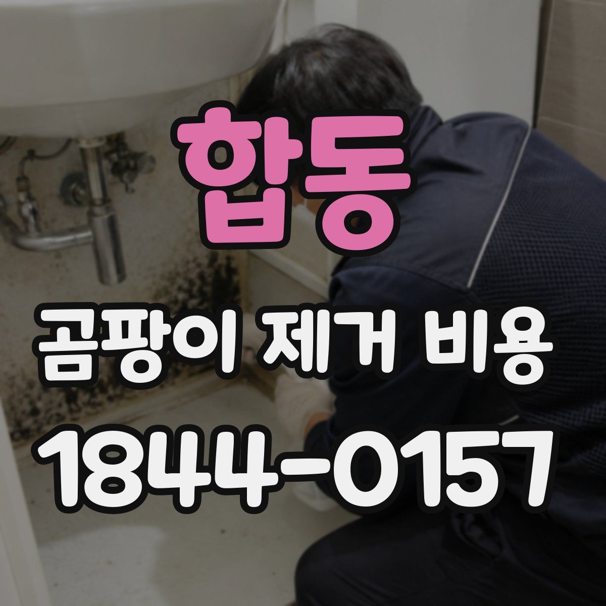 합동 곰팡이 제거 비용