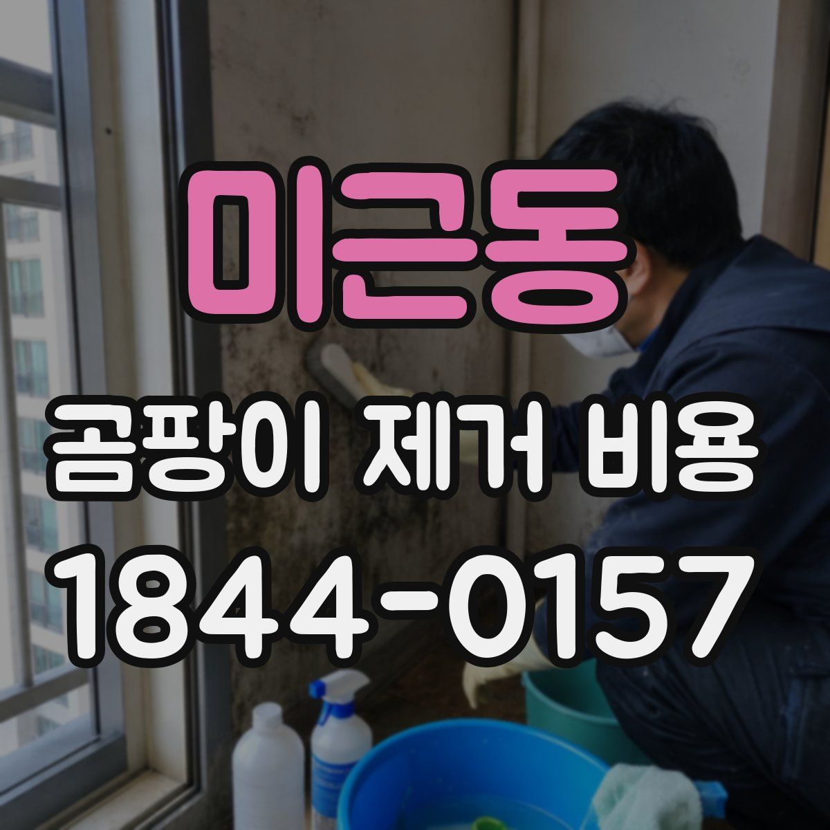 미근동 곰팡이 제거 비용