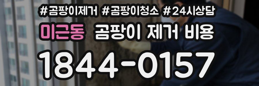 미근동 곰팡이 제거 비용