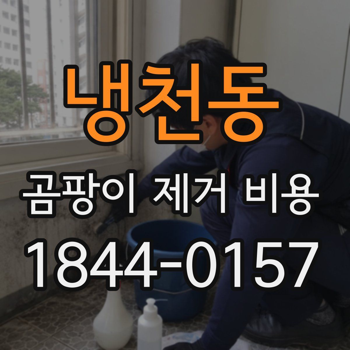 냉천동 곰팡이 제거 비용