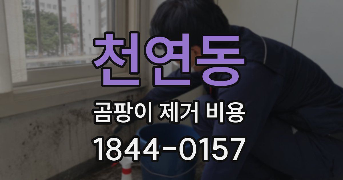 천연동 곰팡이 제거 비용