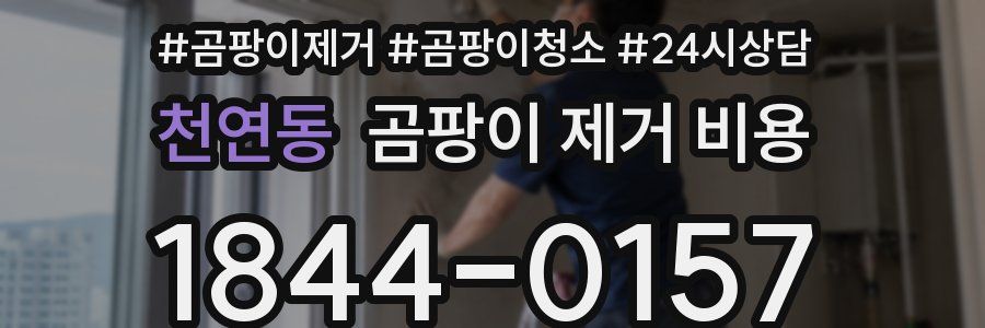 천연동 곰팡이 제거 비용