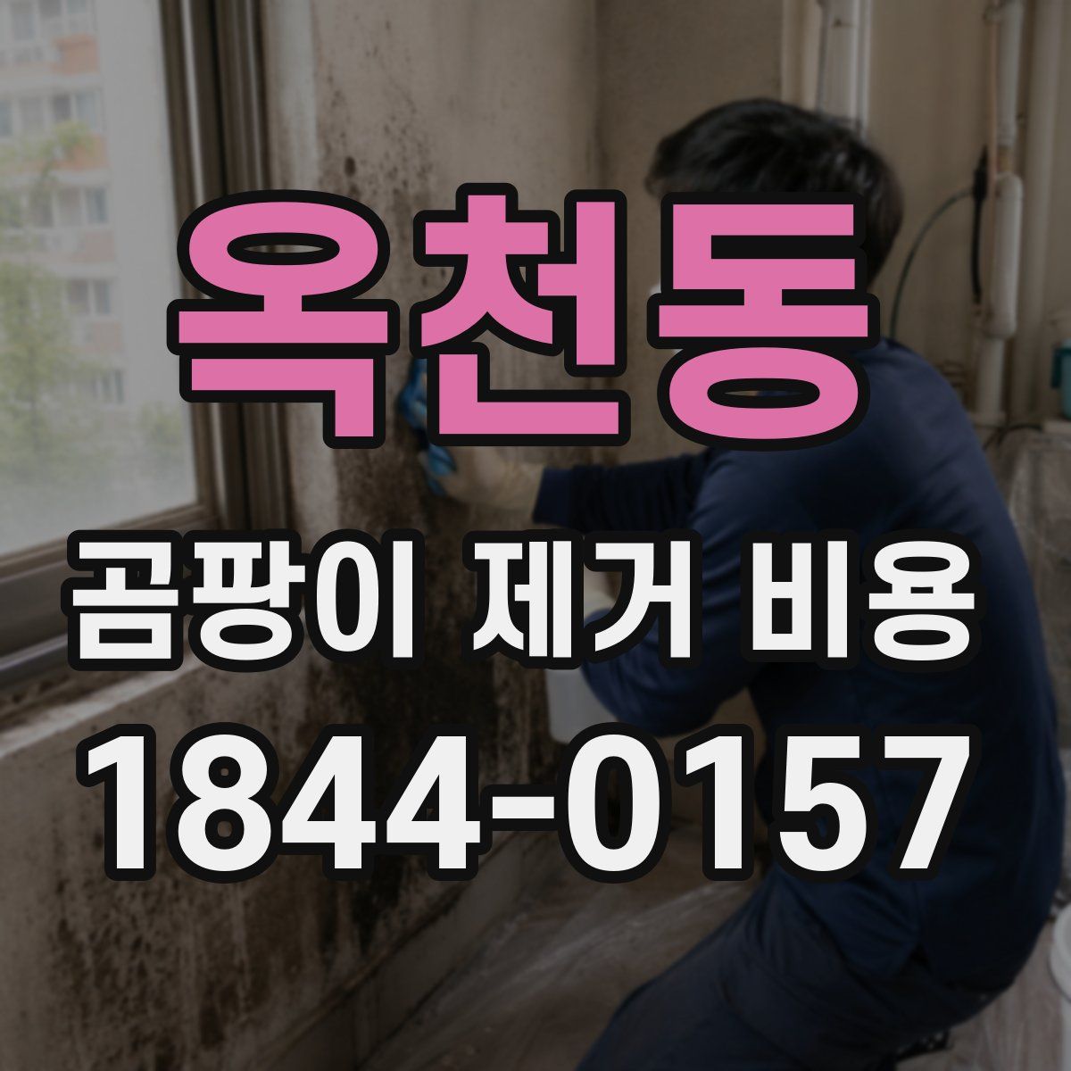 옥천동 곰팡이 제거 비용