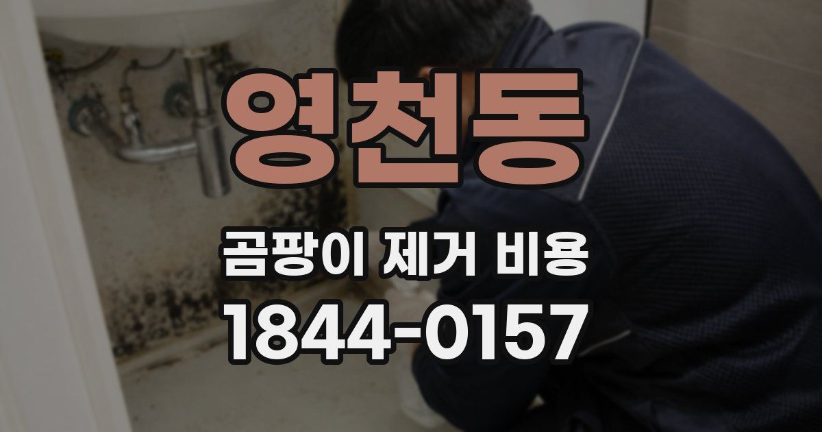 영천동 곰팡이 제거 비용