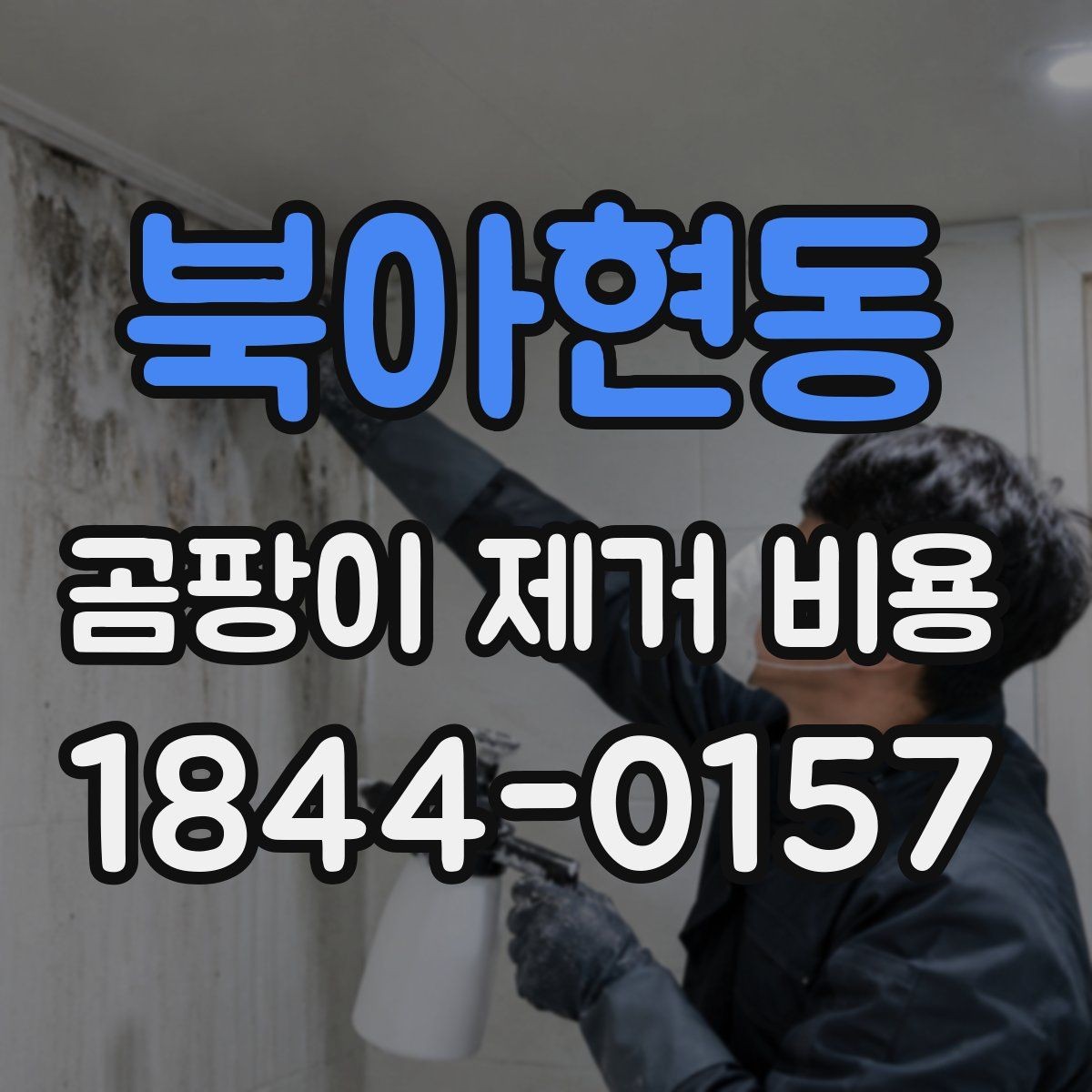 북아현동 곰팡이 제거 비용 상가 내부 오염과 세대별 주거공간 차이