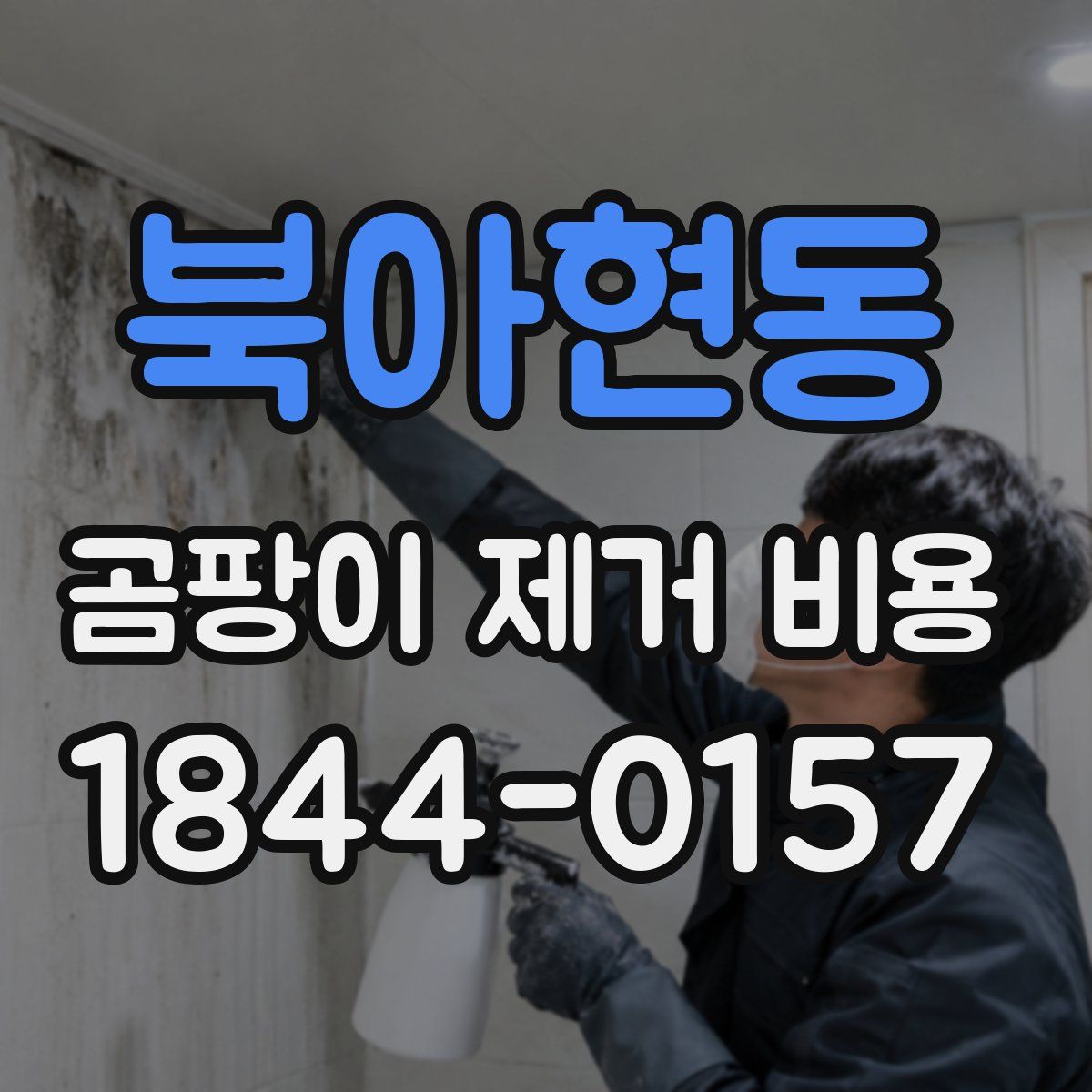 북아현동 곰팡이 제거 비용