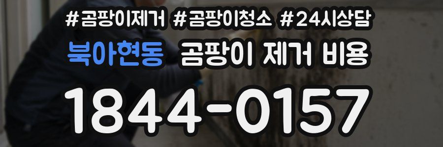북아현동 곰팡이 제거 비용