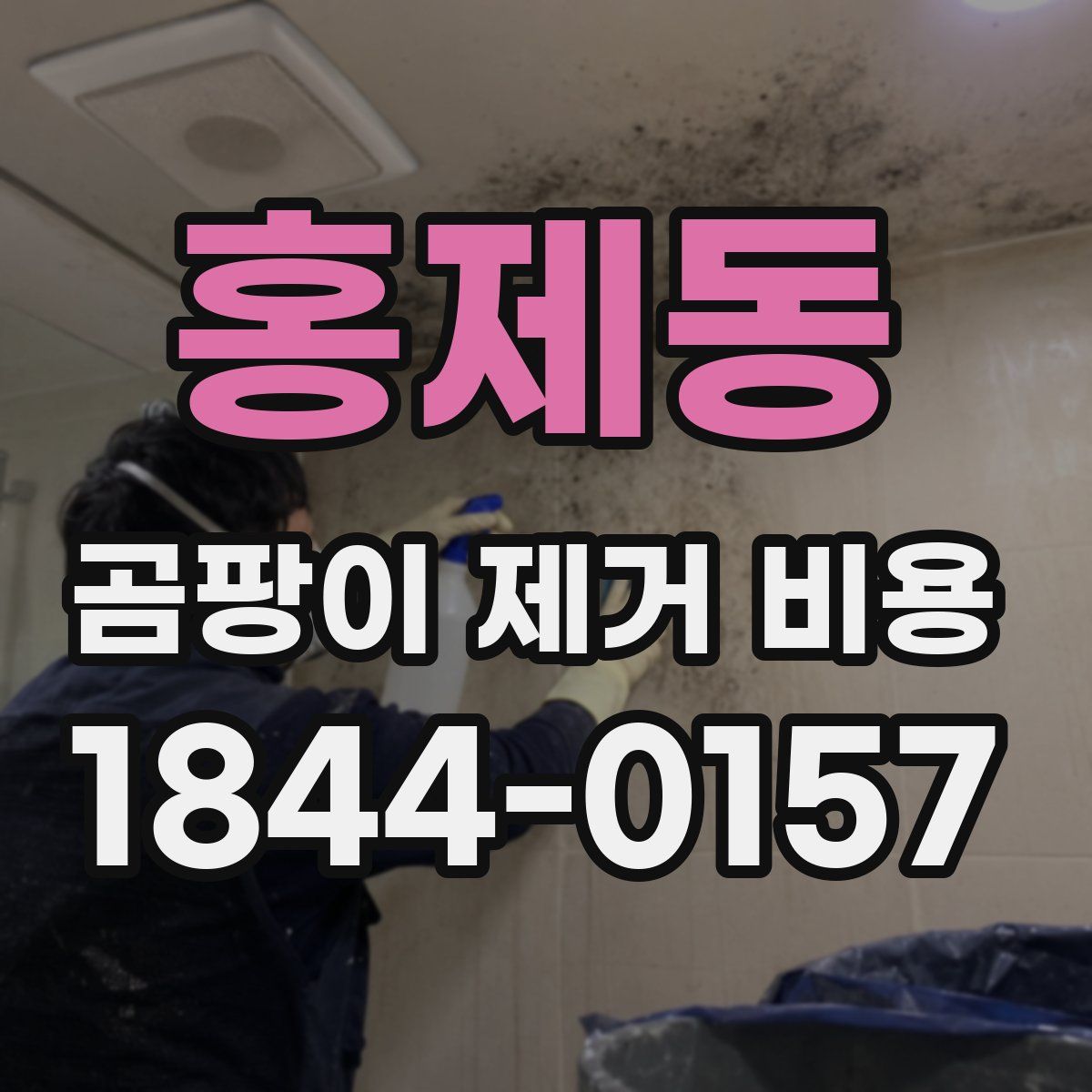 홍제동 곰팡이 제거 비용