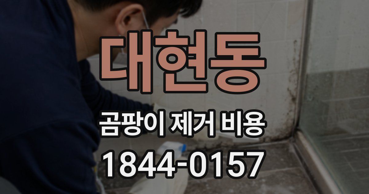 대현동 곰팡이 제거 비용