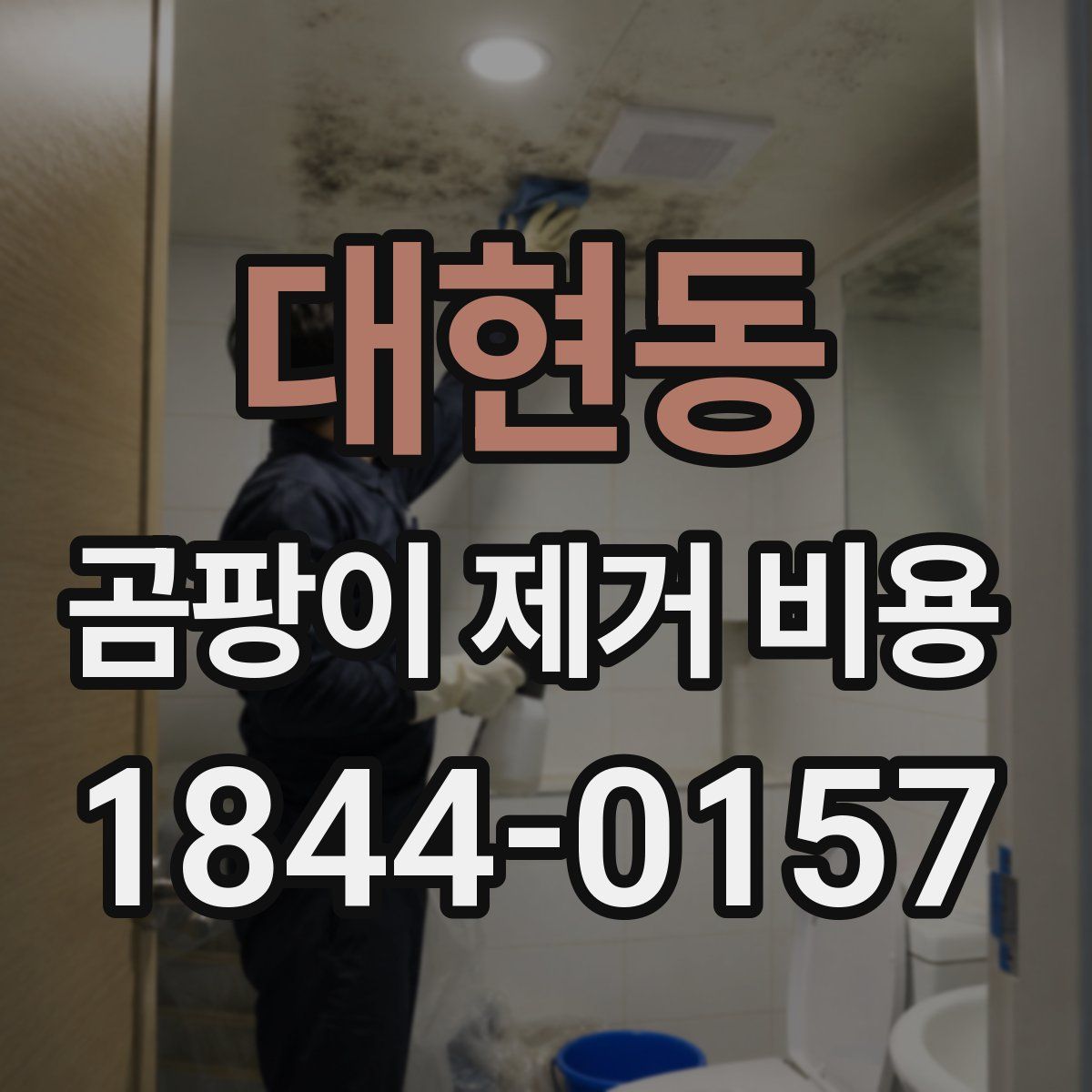 대현동 곰팡이 제거 비용