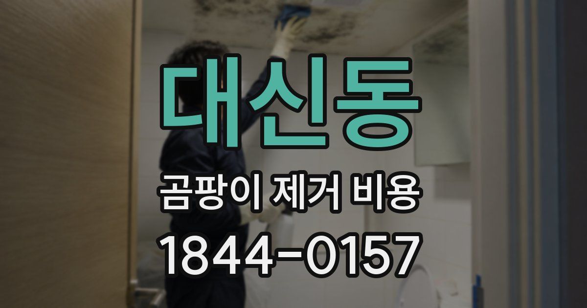 대신동 곰팡이 제거 비용