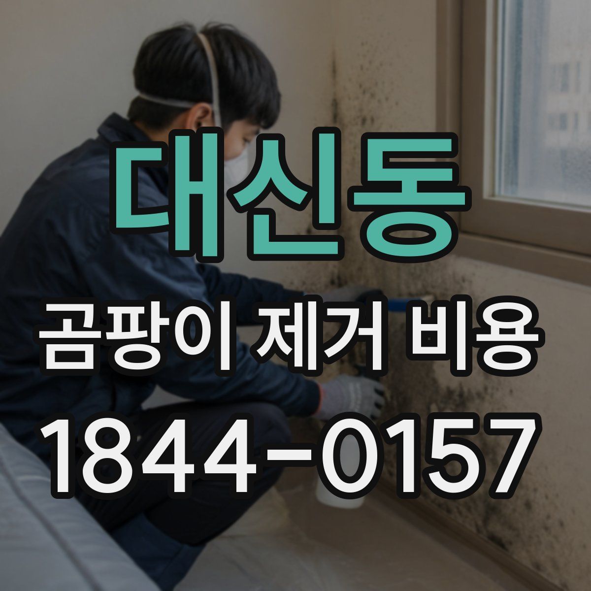 대신동 곰팡이 제거 비용
