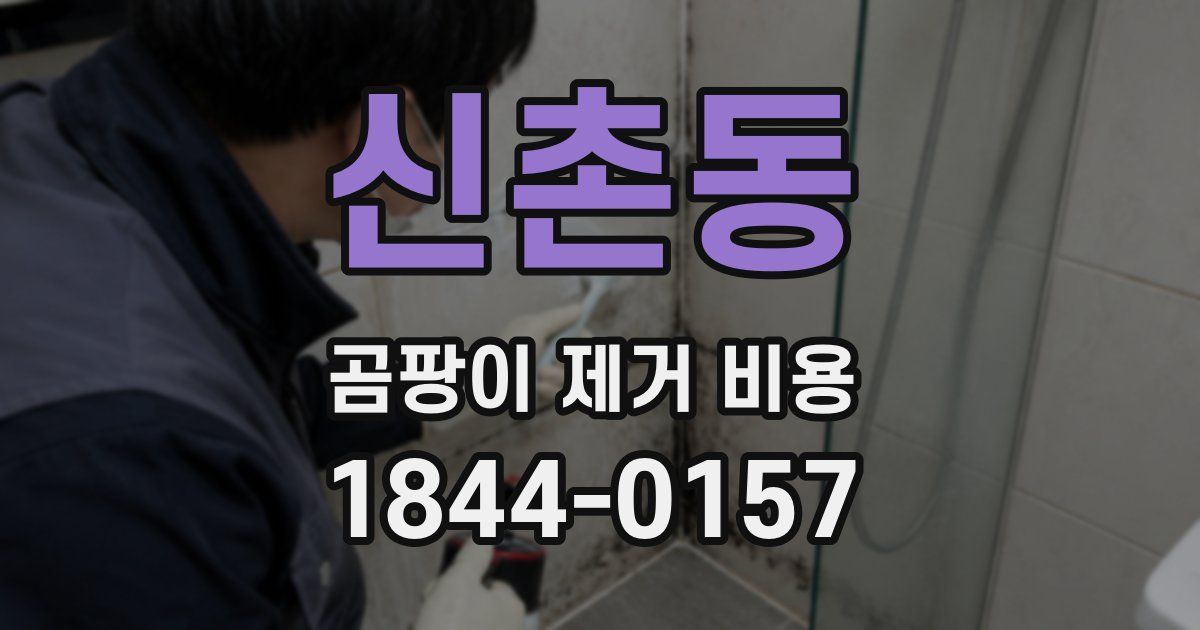 신촌동 곰팡이 제거 비용