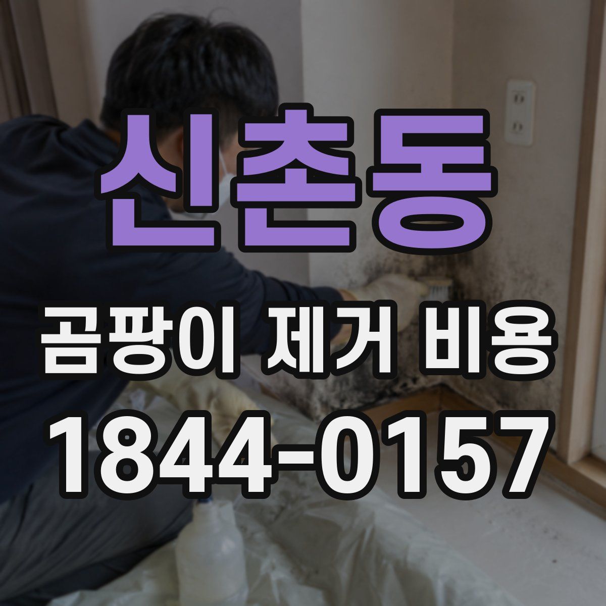 신촌동 곰팡이 제거 비용
