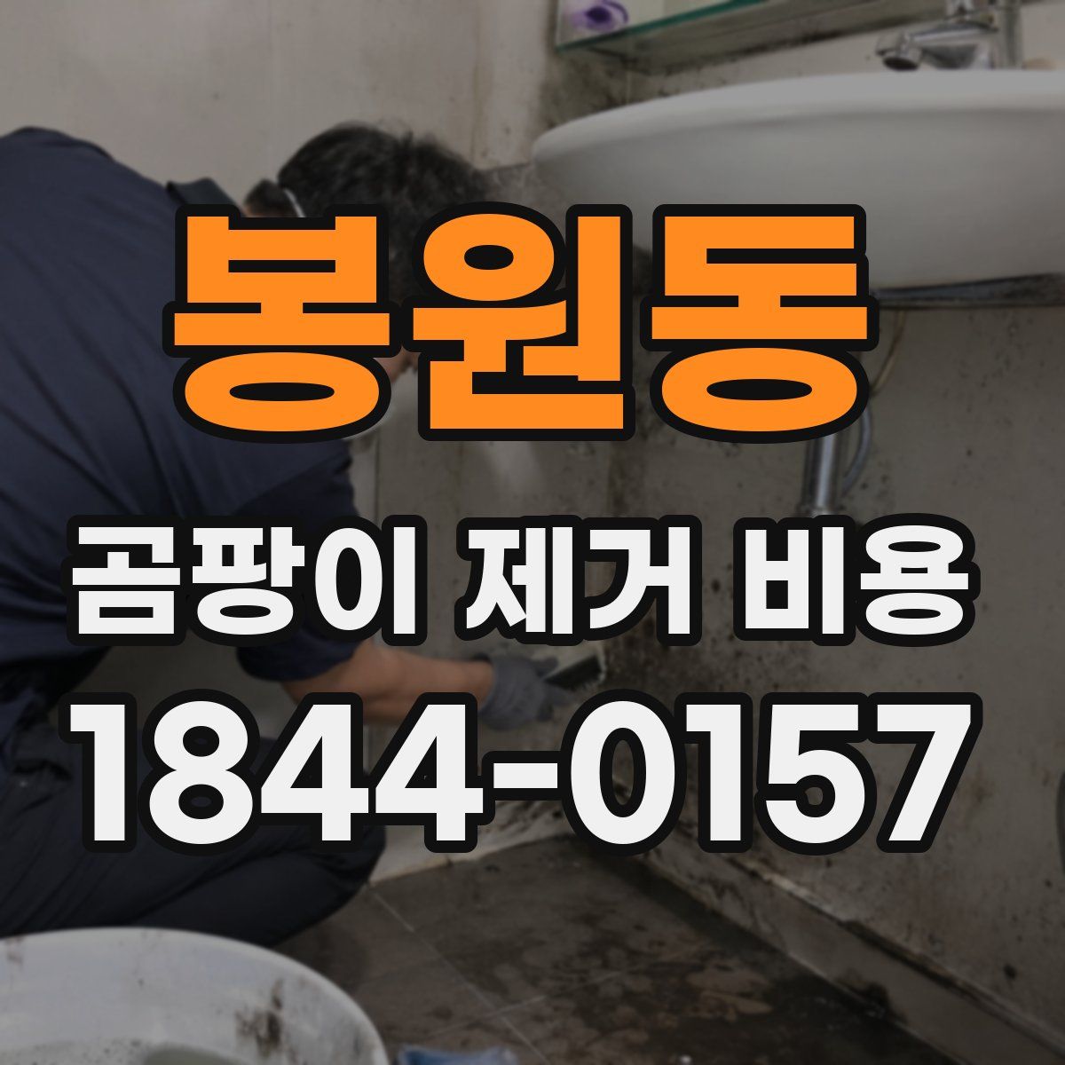 봉원동 곰팡이 제거 비용