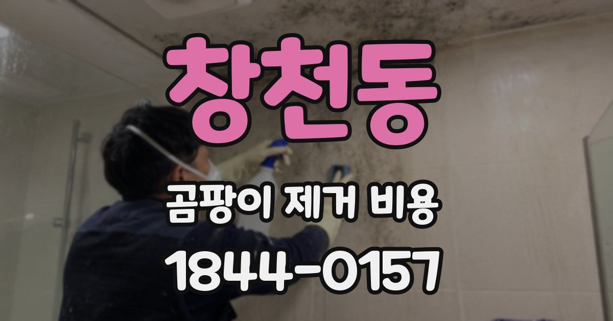 창천동 곰팡이 제거 비용