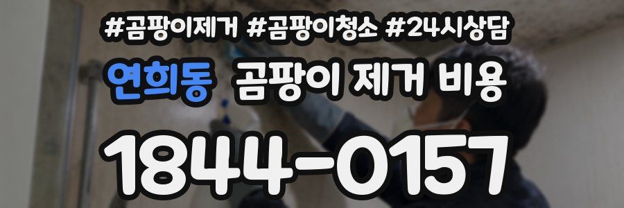 연희동 곰팡이 제거 비용
