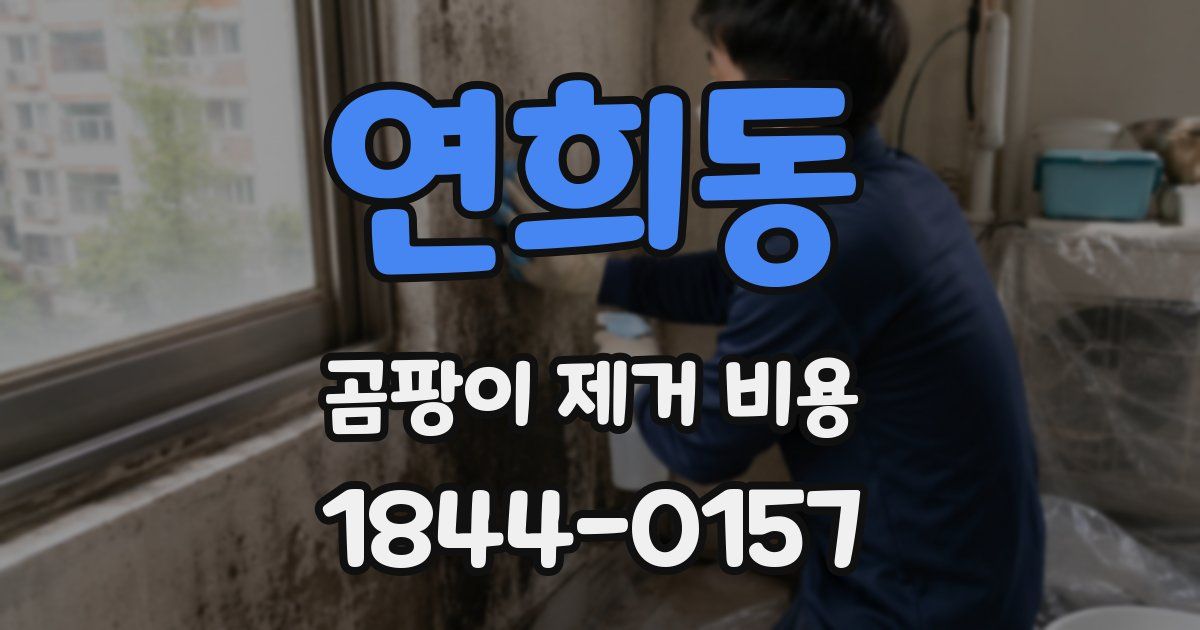 연희동 곰팡이 제거 비용