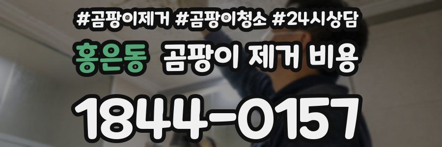 홍은동 곰팡이 제거 비용