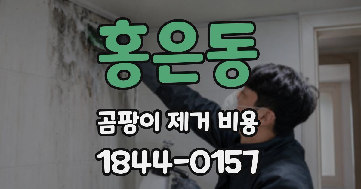 홍은동 곰팡이 제거 비용