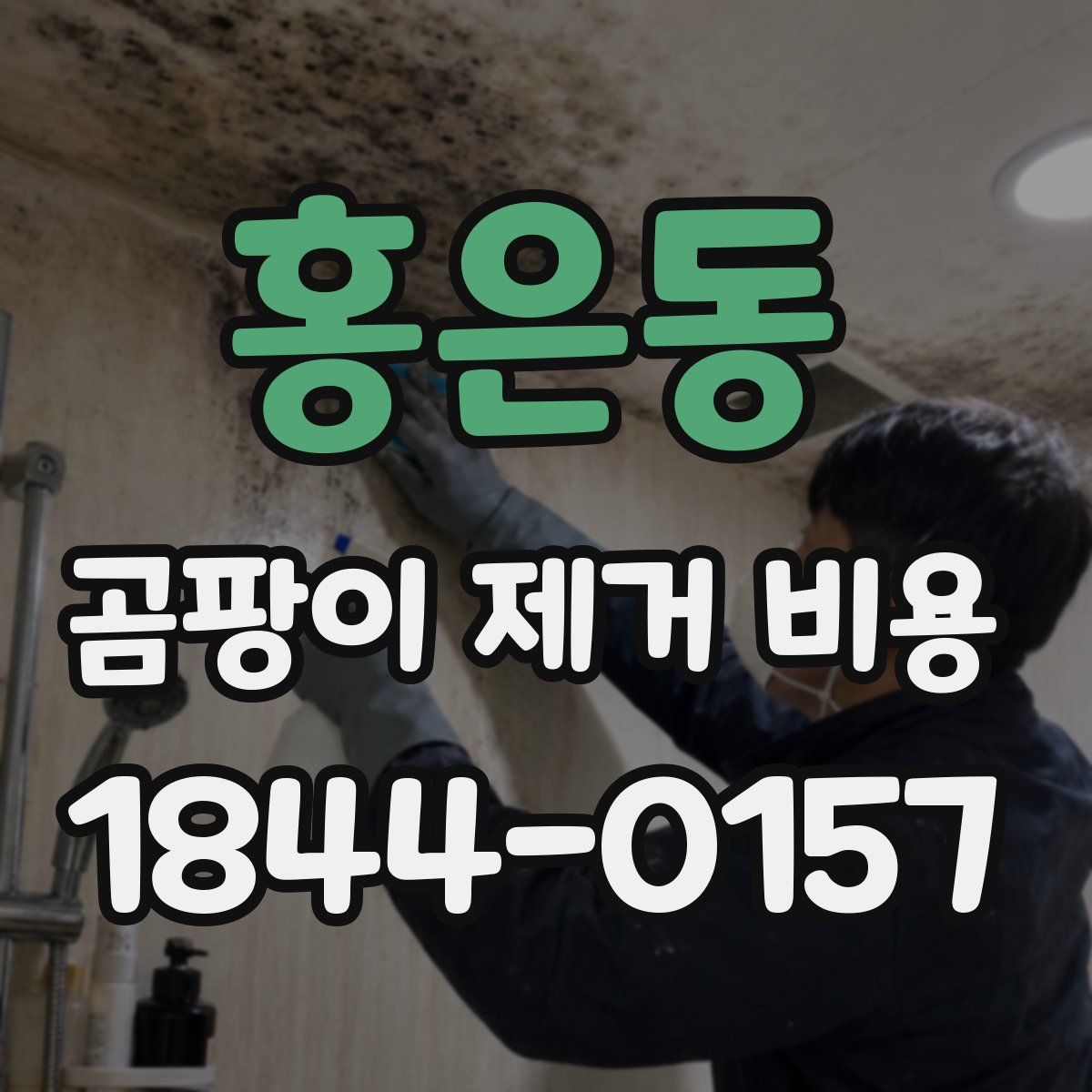 홍은동 곰팡이 제거 비용