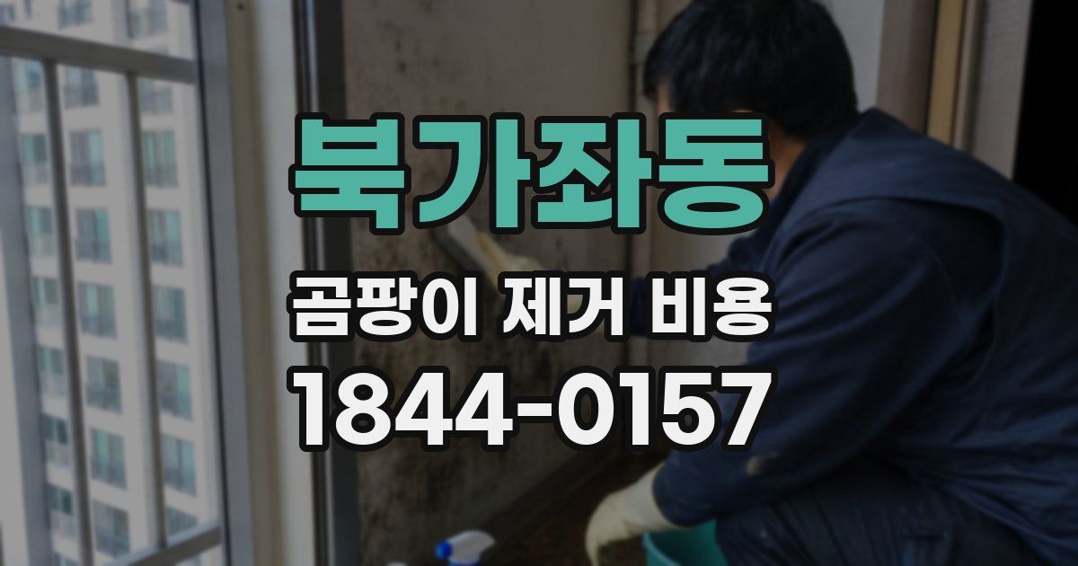 북가좌동 곰팡이 제거 비용