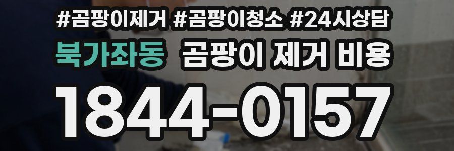 북가좌동 곰팡이 제거 비용
