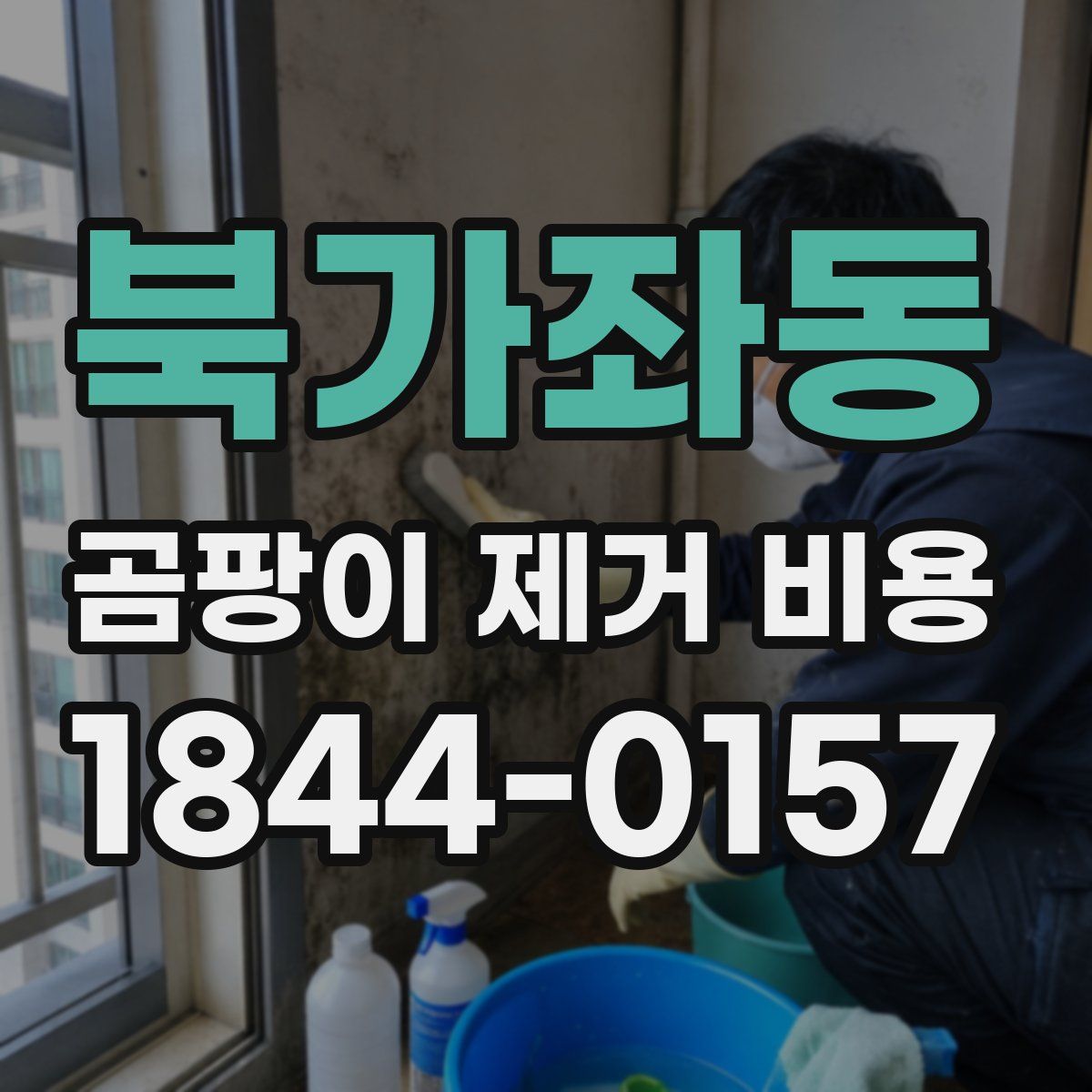 북가좌동 곰팡이 제거 비용