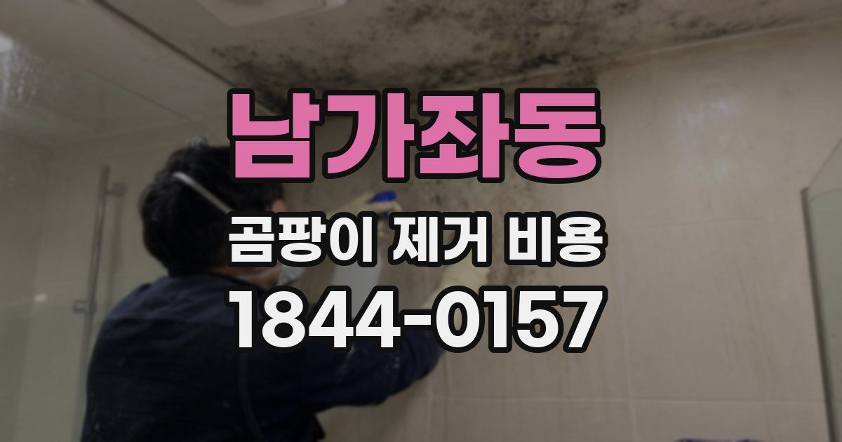 남가좌동 곰팡이 제거 비용