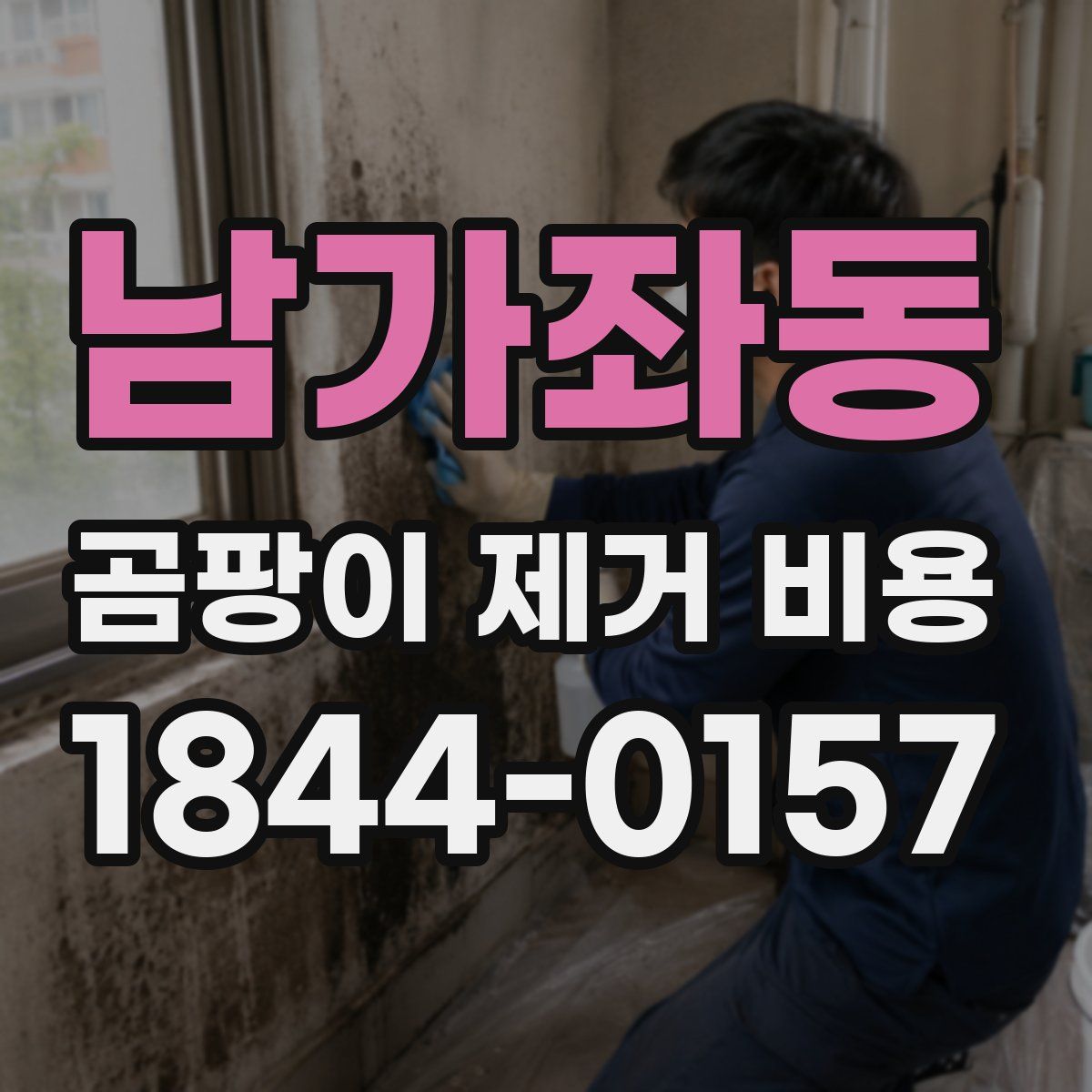 남가좌동 곰팡이 제거 비용